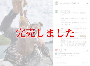 画像17: ZERO-G EVOLUTION LIMITED 攻 706ML Trick Jerk LTD (17)