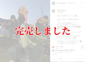 ZERO-G EVOLUTION LIMITED 攻 706ML Trick Jerk LTD - エギング