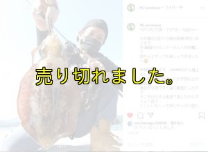 画像14: ZERO-G EVOLUTION LIMITED 攻 706ML Trick Jerk LTD (14)