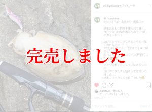 ZERO-G EVOLUTION LIMITED 攻 706ML Trick Jerk LTD - エギング