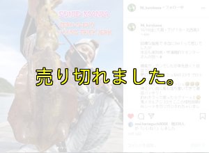 画像16: ZERO-G EVOLUTION LIMITED 攻 706ML Trick Jerk LTD (16)