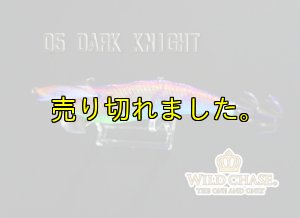 画像5: WILD CHASE 3.0号(05)Dark Night (5)