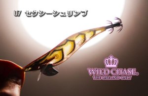 画像5: WILD CHASE 3.5号ラトル（07）セクシーシュリンプ (5)