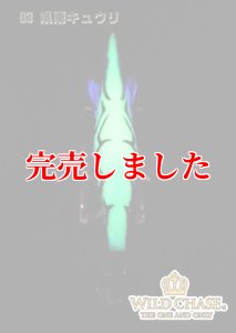 画像6: 3.5号RT（03）県南キュウリ (6)