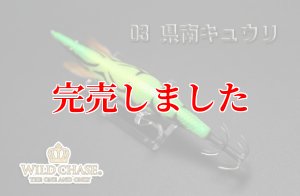 画像5: 3.5号RT（03）県南キュウリ (5)