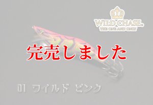 画像5: 3.5号RT (01)ワイルドピンク (5)
