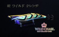 画像1: WILD CHASE 3.5号RT （02）ワイルド オレンジ