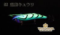 画像2: WILD CHASE 3.0号（03）県南キュウリ