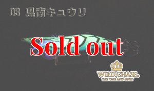 画像6: WILD CHASE  3.5号シャロー（03）県南キュウリ (6)