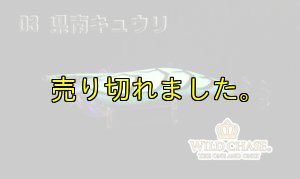 画像6: WILD CHASE 3.5号ラトル（03）県南キュウリ (6)