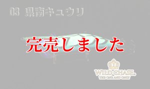 画像7: 3.5号RT（03）県南キュウリ (7)