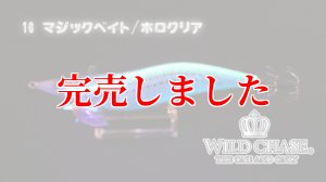 画像6: 3.0号(16)マジックベイト/ホロクリア (6)
