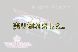 画像6: WILD CHASE 3.0号(07)セクシーシュリンプ (6)