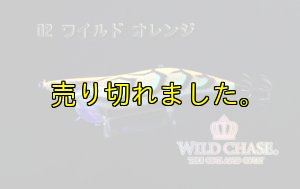画像3: WILD CHASE  3.5号シャロー(02) ワイルド オレンジ (3)