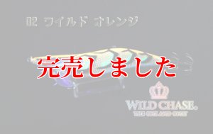 画像4: 3.5号S  (02) ワイルド オレンジ (4)