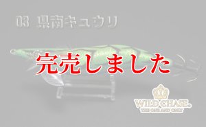 画像4: 3.5号RT（03）県南キュウリ (4)