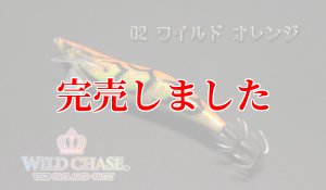 画像3: 3.5号S  (02) ワイルド オレンジ (3)