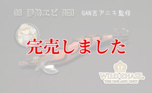 画像7: 3.5号RT（08）伊勢エビRED (7)