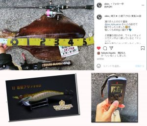 画像6: ウェーブハンター3.5号SS (12）茶豆アジメタホロ (6)