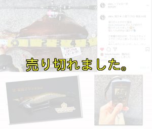 画像5: WILD CHASE 3.0号(12)茶豆アジメタホロ (5)