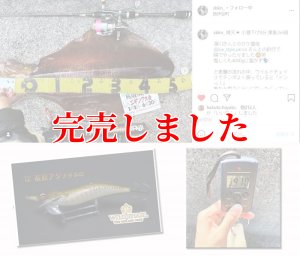 画像4: 3.5号RT (12）茶豆アジメタホロ (4)