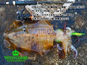 画像7: ウェーブハンター 3.5号SS（03）県南キュウリ (7)