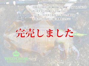 画像8: 3.5号RT（03）県南キュウリ (8)