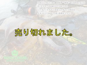 画像8: WILD CHASE 3.5号ラトル（03）県南キュウリ (8)