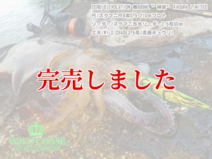 画像9: 3.5号RT（03）県南キュウリ (9)