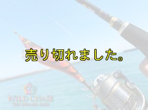 画像8: WILD CHASE 3.0号(08)伊勢エビRED (8)