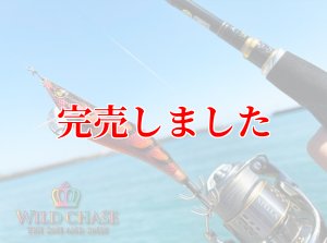 画像6: 3.5号RT（08）伊勢エビRED (6)
