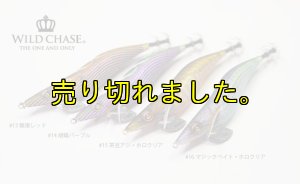 画像9: WILD CHASE 3.0号(15)茶豆アジ/ホロクリア (9)