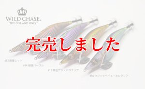 画像8: 3.5号RT (15)茶豆アジ/ホロクリア (8)