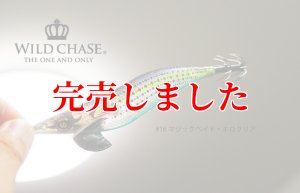 画像5: 3.0号(16)マジックベイト/ホロクリア (5)