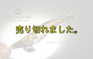 画像4: WILD CHASE 3.0号(15)茶豆アジ/ホロクリア (4)