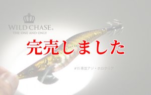 画像3: 3.5号RT (15)茶豆アジ/ホロクリア (3)