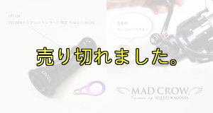 画像1: LIVRE バランサー用 フックキーパー Aurora GOLD (1)