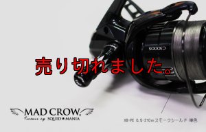 画像1: カスタムバランサー2  / C1（オールブラック） (1)