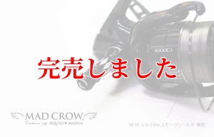 画像2: スクマニ×LIVRE限定カスタムバランサー / ALL BLACK  type-2 / C1 (2)