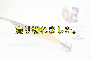 画像7: WILD CHASE 3.0号 (24) NATURAL CANDY (7)