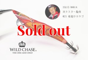 画像9: WILD CHASE 3.0号 (23) 夜遊びカサゴ (9)