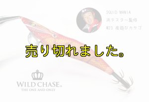 画像9: WILD CHASE 3.0号 (23) 夜遊びカサゴ (9)