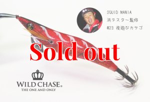 画像10: WILD CHASE 3.0号 (23) 夜遊びカサゴ (10)