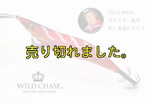 画像10: WILD CHASE 3.0号 (23) 夜遊びカサゴ (10)