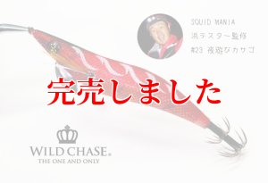 画像8: 3.5号SS (23) 夜遊びカサゴ (8)