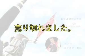 画像6: WILD CHASE 3.0号 (23) 夜遊びカサゴ (6)