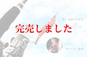 画像3: 3.5号SS (23) 夜遊びカサゴ (3)