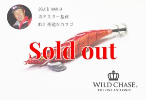 画像4: WILD CHASE 3.0号 (23) 夜遊びカサゴ (4)