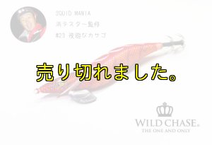 画像4: WILD CHASE 3.0号 (23) 夜遊びカサゴ (4)
