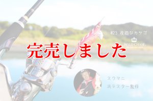 画像4: 3.5号SS (23) 夜遊びカサゴ (4)